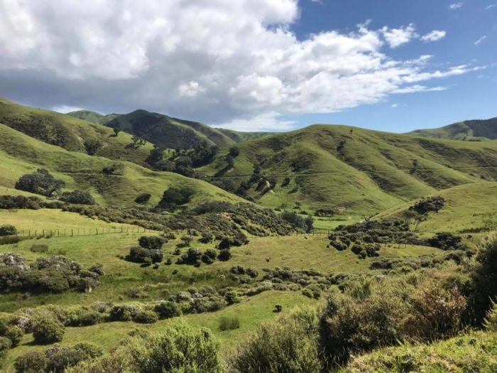 Krajobraz Nowej Zelandii - urlop dr Moniki Górskiej
