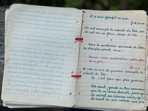 Rękopis Cioci Dziuni w trzecim tomie Trylogii Zaufania - Zaufaj puść i kochaj